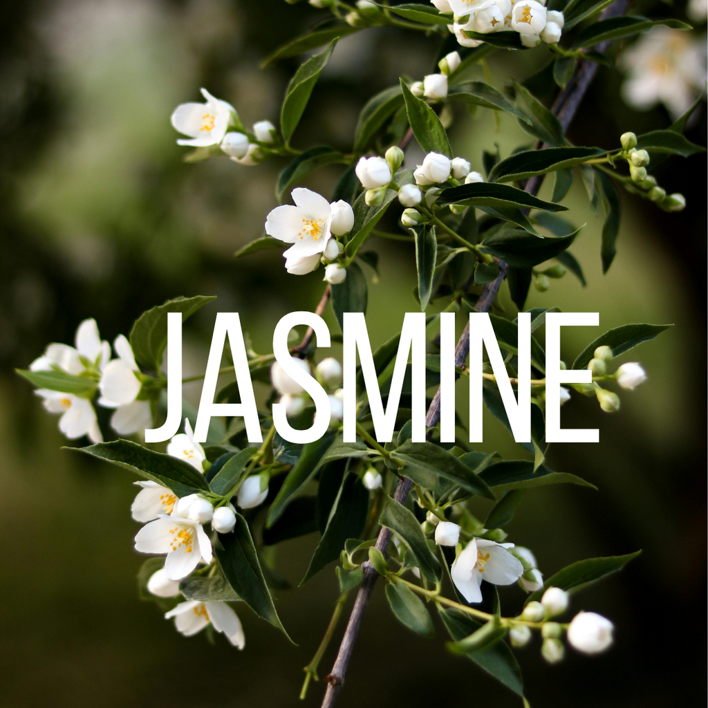 Aceite Hidratante SASSY SAVAGE