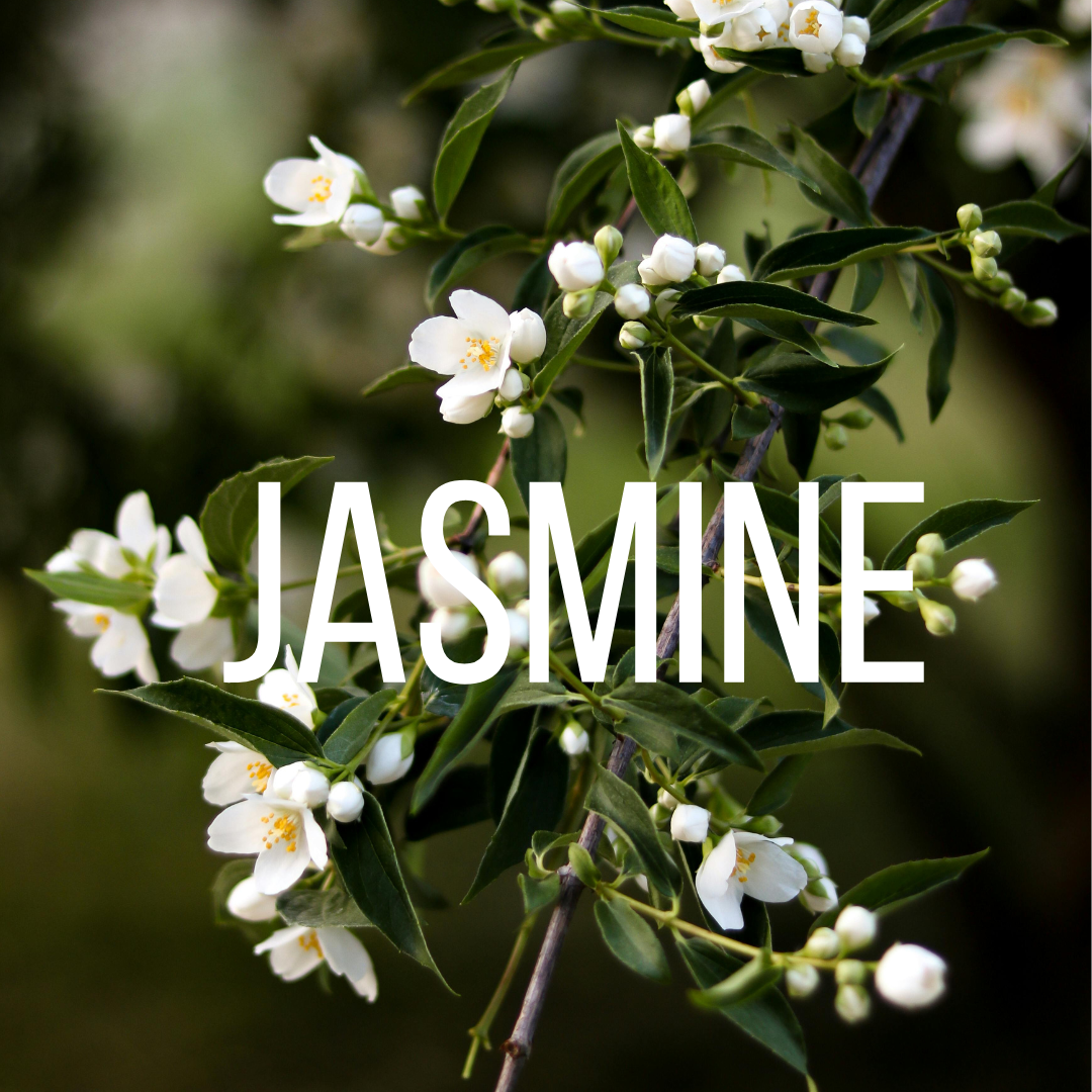 Aceite Hidratante SASSY SAVAGE